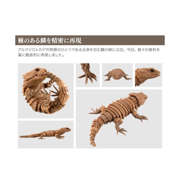 Dangomushi and Armadilo Lizard (All 5 Types Set) Gacha Capsule Toy