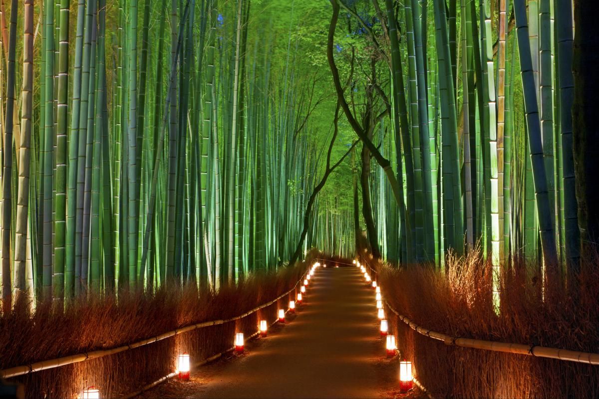 TOP 4 ROMANTIC HONEYMOON IN JAPAN