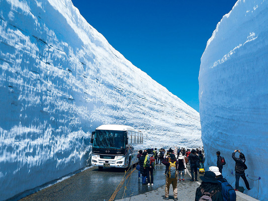 titip jepang spot hanami tateyama kurobe alpine route