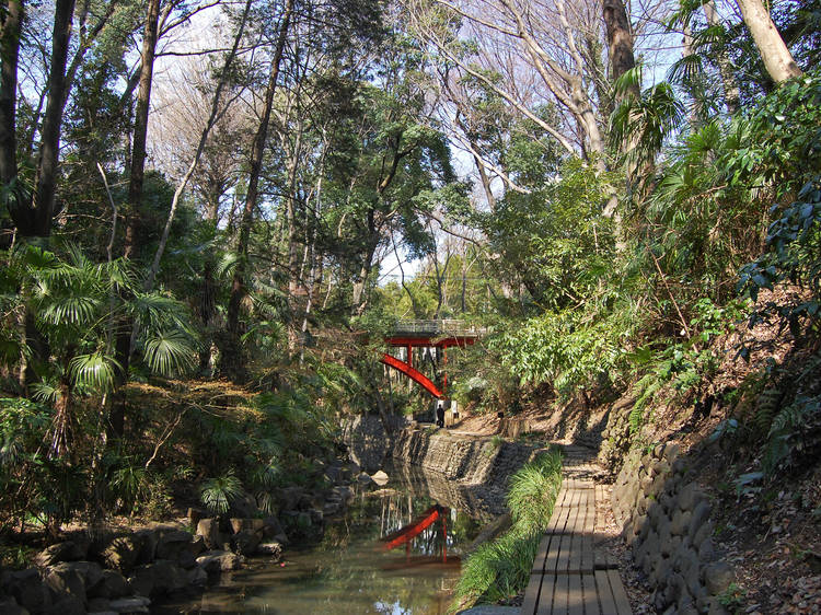 Destinasi Wisata Healing di tengah Kota Tokyo