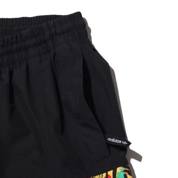 adidas ADVENTURE GORE-TEX SHORTS Black / Multicolor 21SS-S