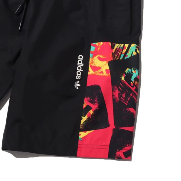 adidas ADVENTURE GORE-TEX SHORTS Black / Multicolor 21SS-S