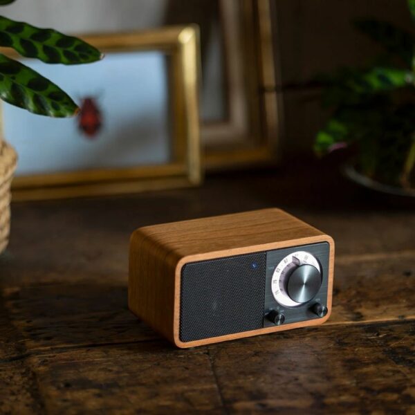 Sangean WR-301 FM Radio / Bluetooth Speaker