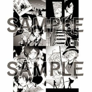 [Clearfile set] "Bungo Stray Dogs" Sango Harukawa 35 Illustration Illustration Clear File Set