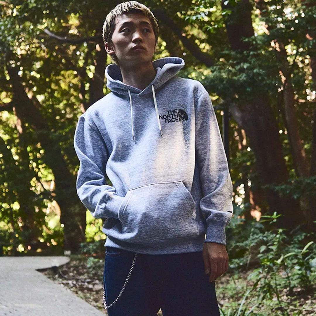 THE NORTH FACE BACK HALF DOME HOODIE ミックスグレー 21FW-I - TITIP