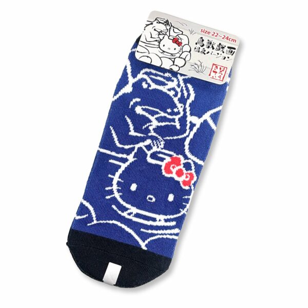 Socks (The Frog) - Hot Spring Hello Kitty