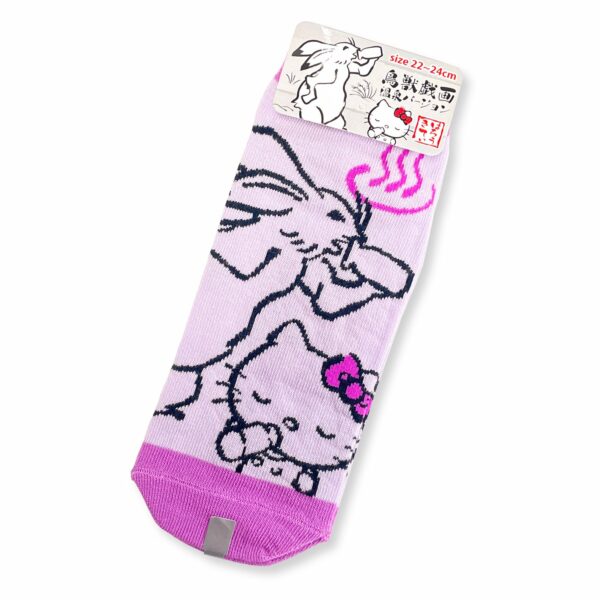 Socks (The Rabbit) - Hot Spring Hello Kitty