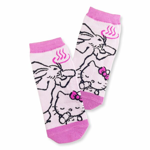 Socks (The Rabbit) - Hot Spring Hello Kitty