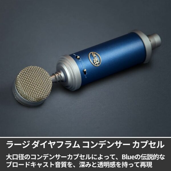 Blue Microphones - Bluebird SL XLR Condenser Microhpone