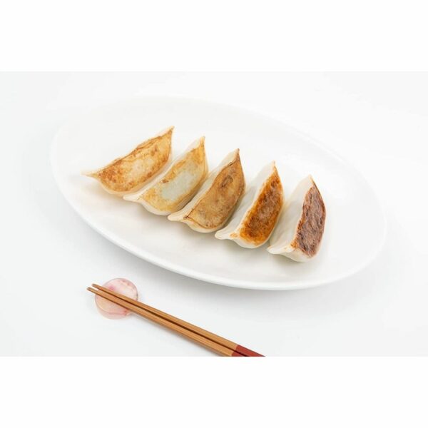 Syuto Dumpling plamo Single Serving 1/1 Scale