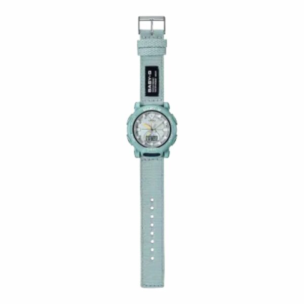 Casio Baby-G BGA-310C Series