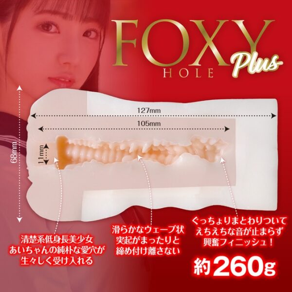 KMP - FOXY HOLE plus Ai Kawana