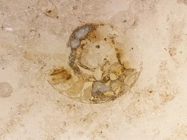 Titip Jepang-Indoor date spots