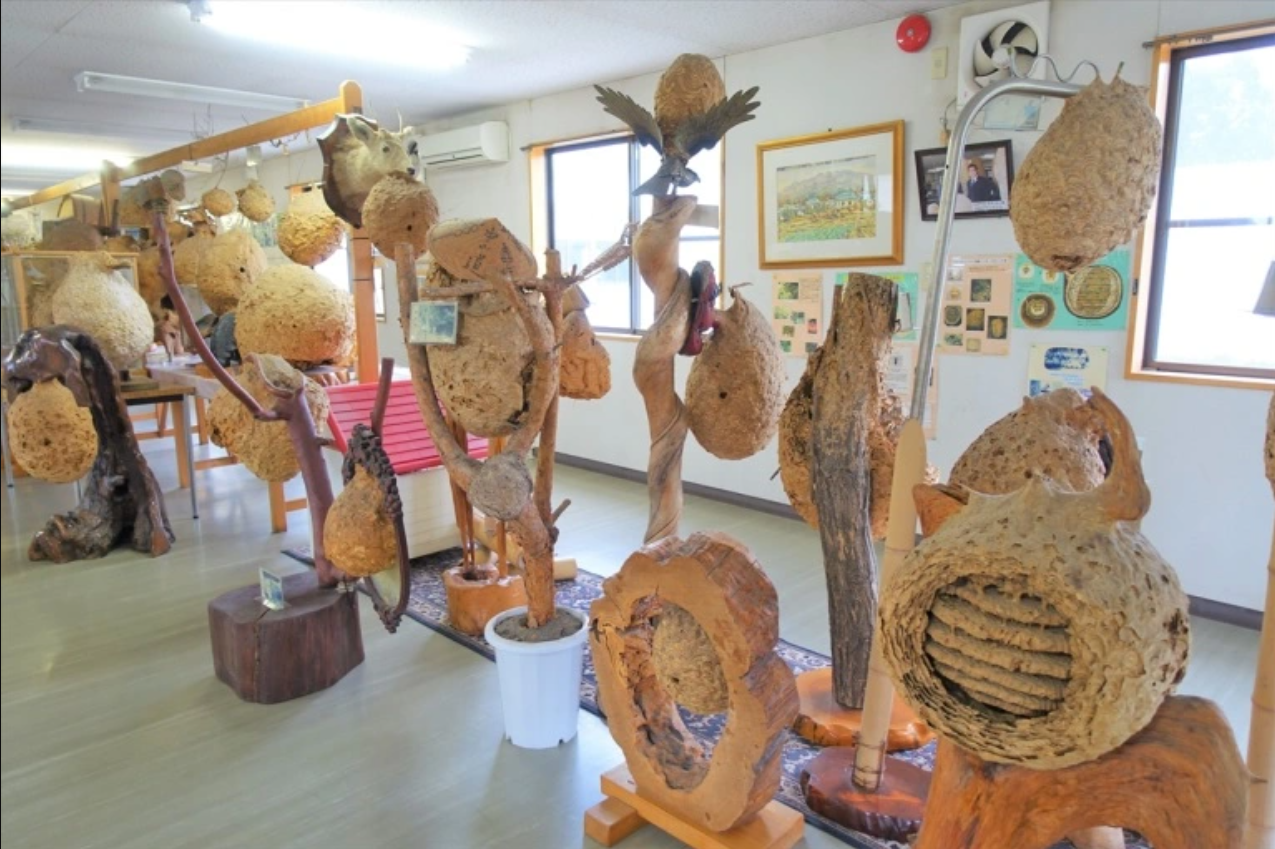 Titip-Jepang-Wasp Heaven