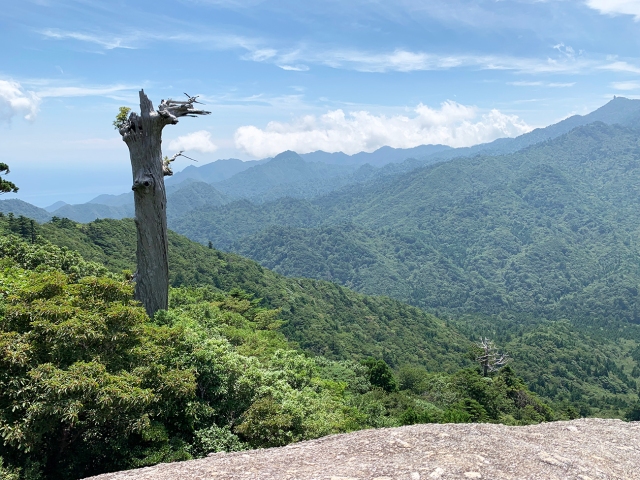 Titip Jepang-Hutan Princess Mononoke