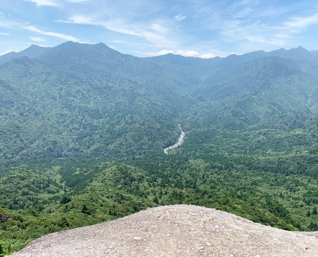 Titip Jepang-Hutan Princess Mononoke