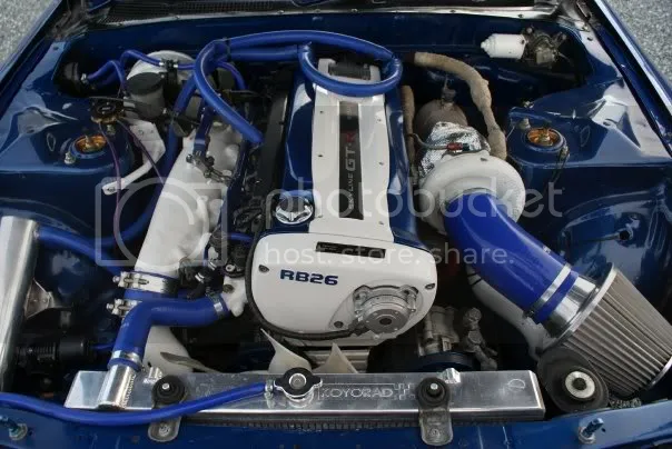 Titip Jepang-RaceBreedImpor