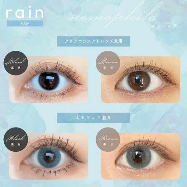 [Contact Lens] Rain 1day 14.5mm Nemophila (10 pieces per box)