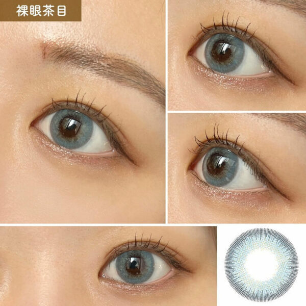 [Contact Lens] Rain 1day 14.5mm Nemophila (10 pieces per box)