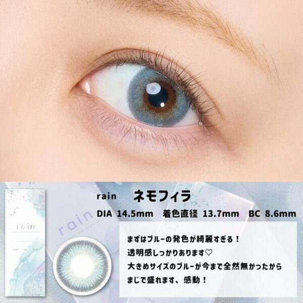 [Contact Lens] Rain 1day 14.5mm Nemophila (10 pieces per box)