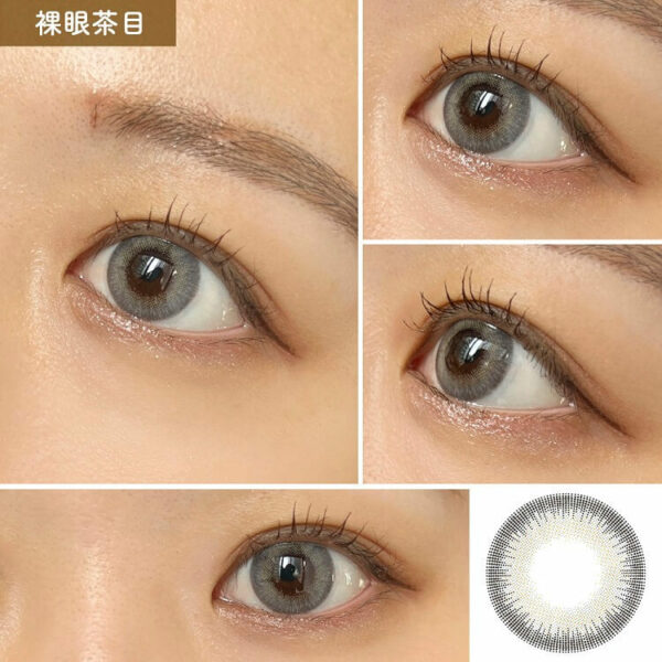 [Contact Lens] Rain 1day 14.5mm Doll Gray (10 pieces per box)