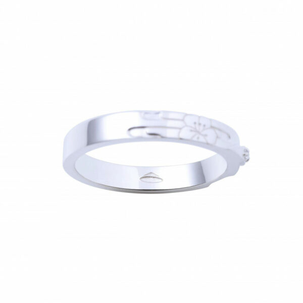 Heaven Official's Blessing / TGCF - Xie Lian Straight Ring