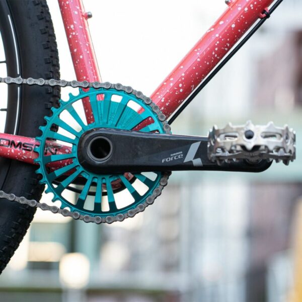 [Chainring] AARN DM 1X Chainring BL Limited (teal) Eksklusif