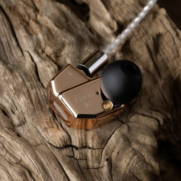 Earphone FINAL Audio B1 ‎FI-B1BDSSD Earphones Sound Isolation with Armature Drivers Premium