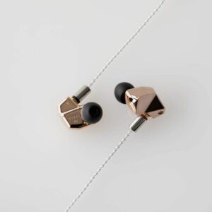 Earphone FINAL Audio B1 ‎FI-B1BDSSD Earphones Sound Isolation with Armature Drivers Premium