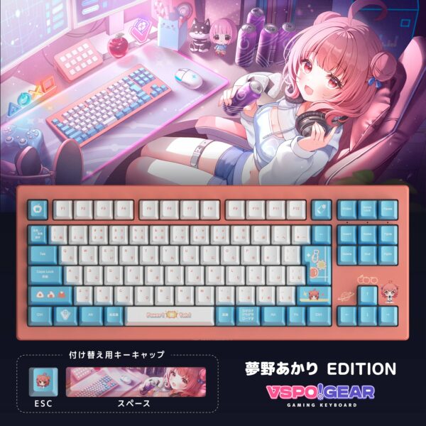 VSPO! GEAR gaming keyboard 2nd edition