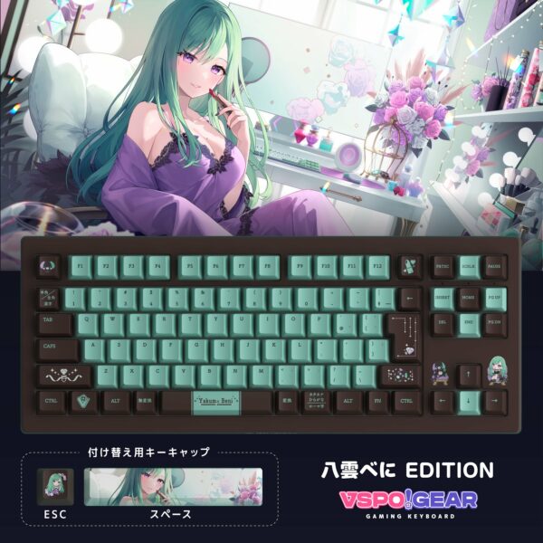 VSPO! GEAR gaming keyboard 2nd edition