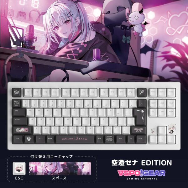 VSPO! GEAR gaming keyboard 2nd edition