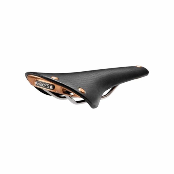 Saddle Brooks Cambium C17 Special