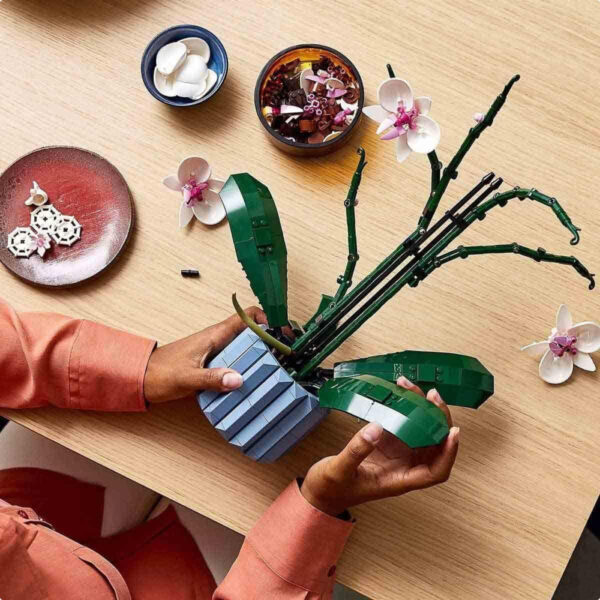 LEGO Phalaenopsis 10311 Botanical Collection Hadiah Sempurna untuk Pecinta Bunga dan Dekorasi Rumah