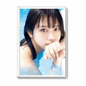 Photobook Mineshima Komaki Furusato