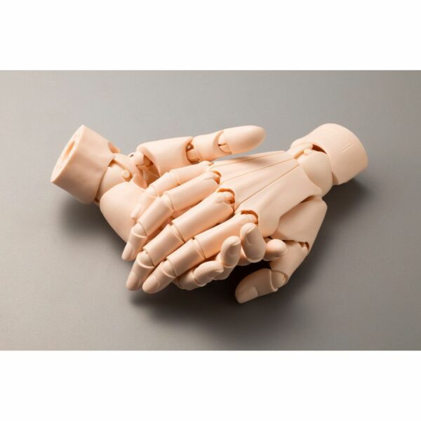 [Figure] ARTIST SUPPORT ITEM Hand Model PALE ORANGE (Left or Right) (PO-2024) Terbatas