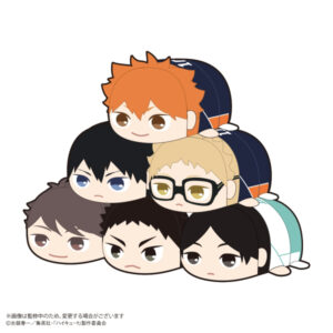 HQ-73 Haikyu!! Potekoro Mascot Box