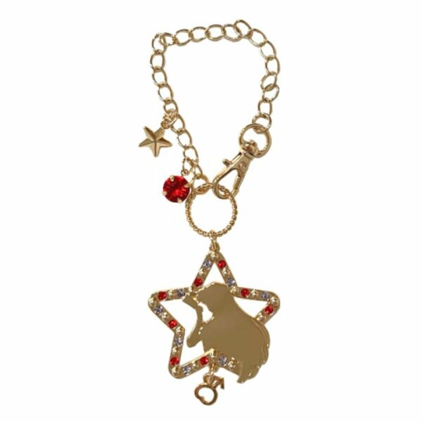 Gantungan Sailor Moon Silhouette Bag Charm 5 Varian (Sailor Moon Store)