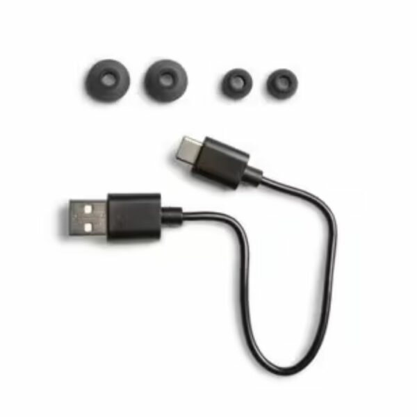 DENON AH-C830NCW Wireless Earphones TWS