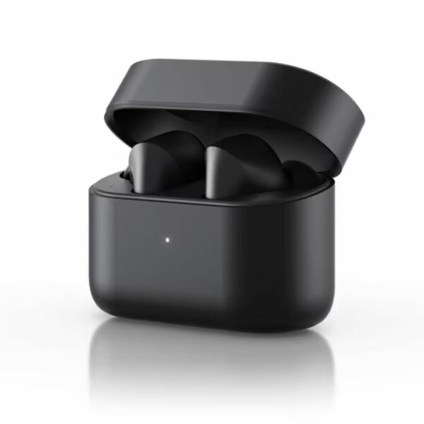 DENON AH-C630W Wireless Earphones TWS