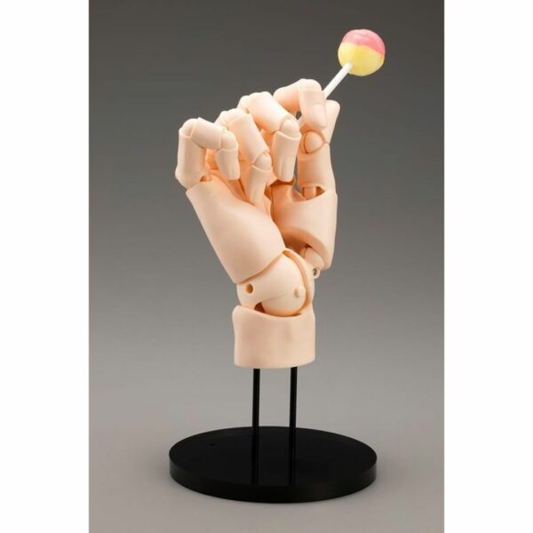 ARTIST SUPPORT ITEM Hand Model/R -PALE ORANGE- 1/1