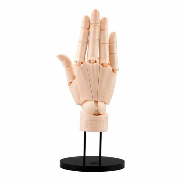 ARTIST SUPPORT ITEM Hand Model/L -PALE ORANGE- 1/1