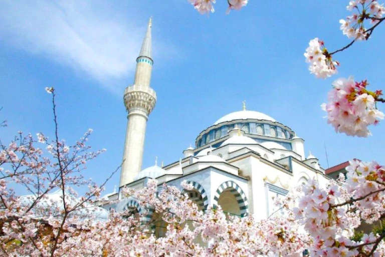 TITIP JEPANG=Pemakaman muslim di Jepang