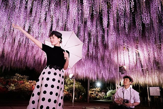 Tonight, at The Movies sinopsis