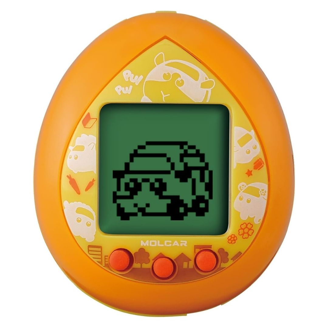 PUI PUI Molcar Orange Color