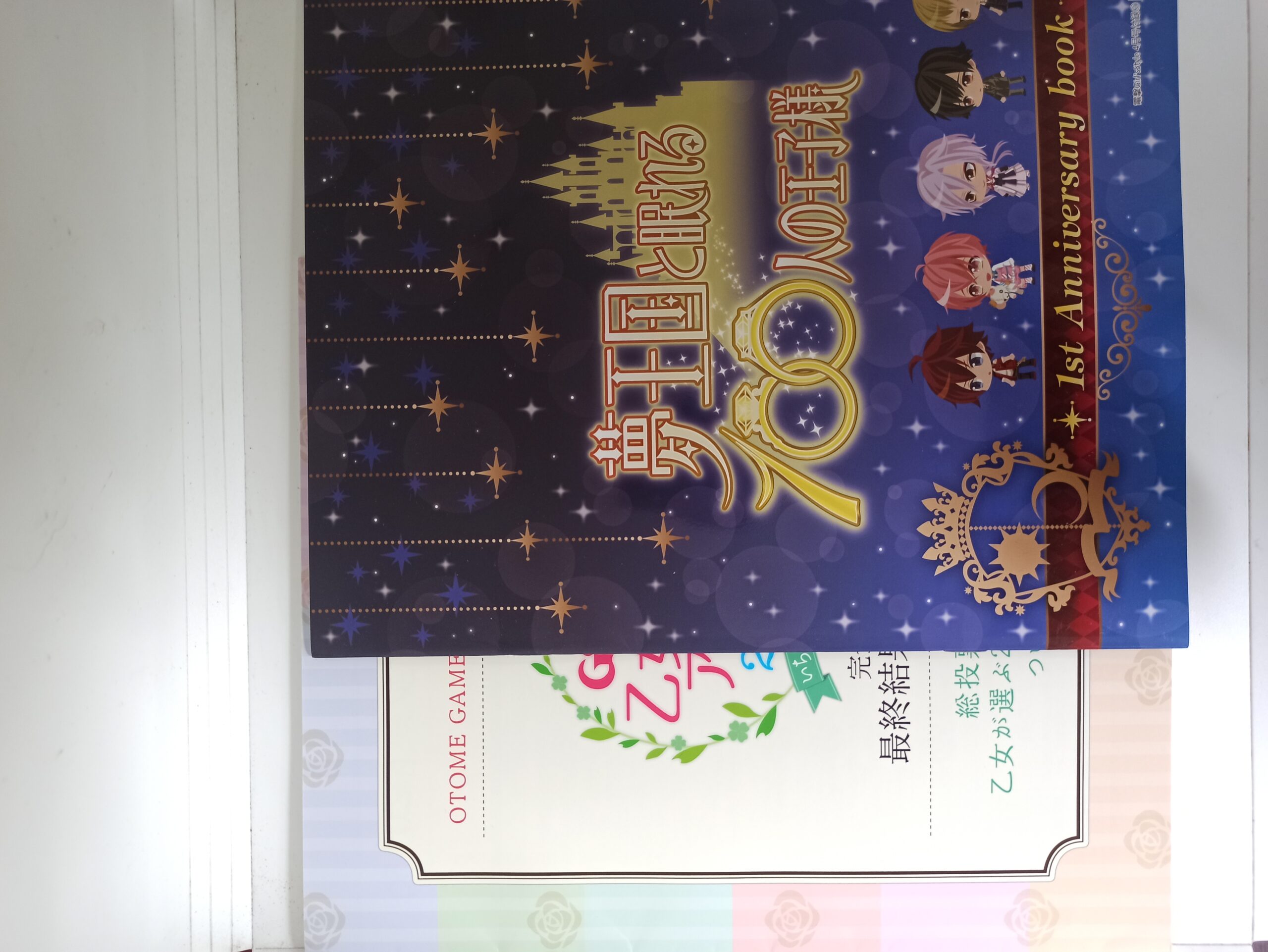 Dream Kingdom and the 100 Sleeping Princes 1st Anniversary Book