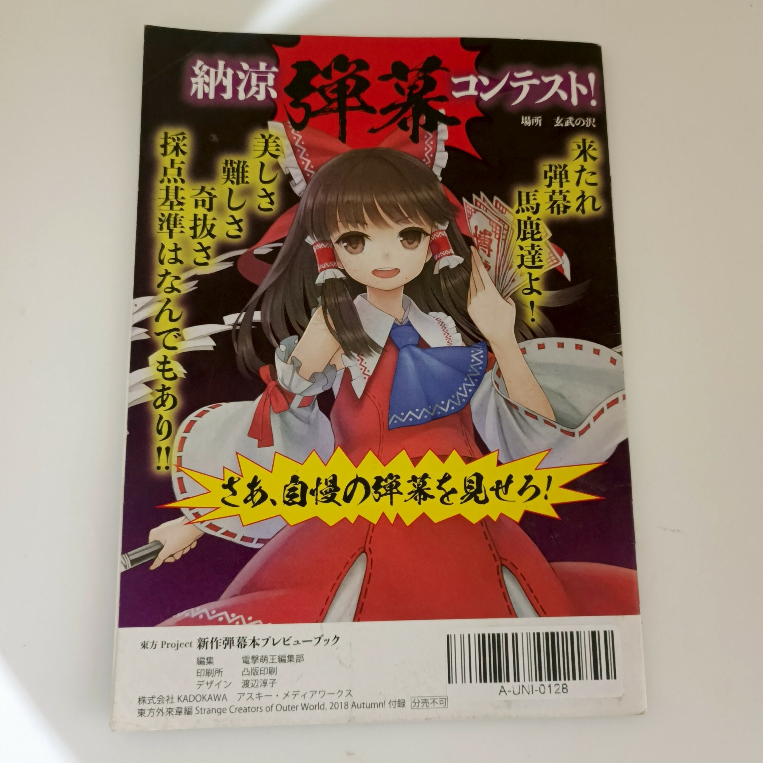 Touhou Project New Danmaku Book