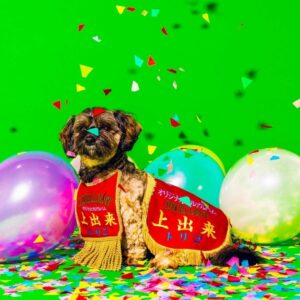 tricot - Good job (2-CD Set + Mega Jacket) - Album Anniversary ke-10 dengan Instrumental tricot - Good job (2-CD Set + Mega Jacket) - Album Anniversary ke-10 dengan Instrumental