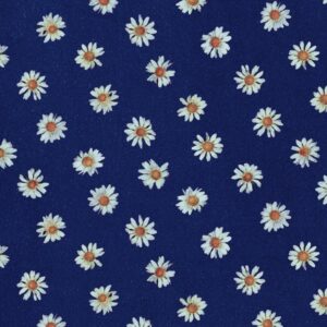 Kinoko Teikoku - Long Goodbye Mini Album - Melancholic Indie Rock Gem