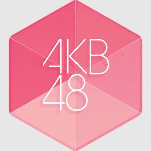AKB48 Rina Kawaei Photobook (limited cover)